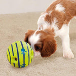 Pet Toy Balls